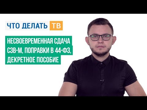 Несвоевременная сдача СЗВ-М,  поправки в 44-ФЗ, декретное пособие