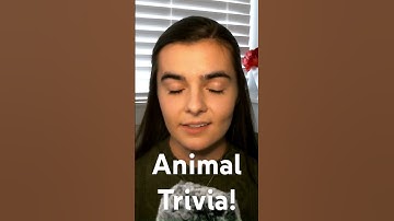 ASMR POP QUIZ! | Trivia About Animals
