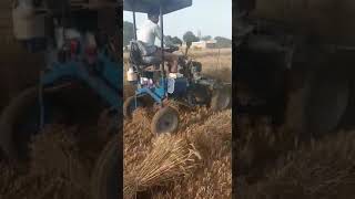 Tenge is the best 😂! I miss him