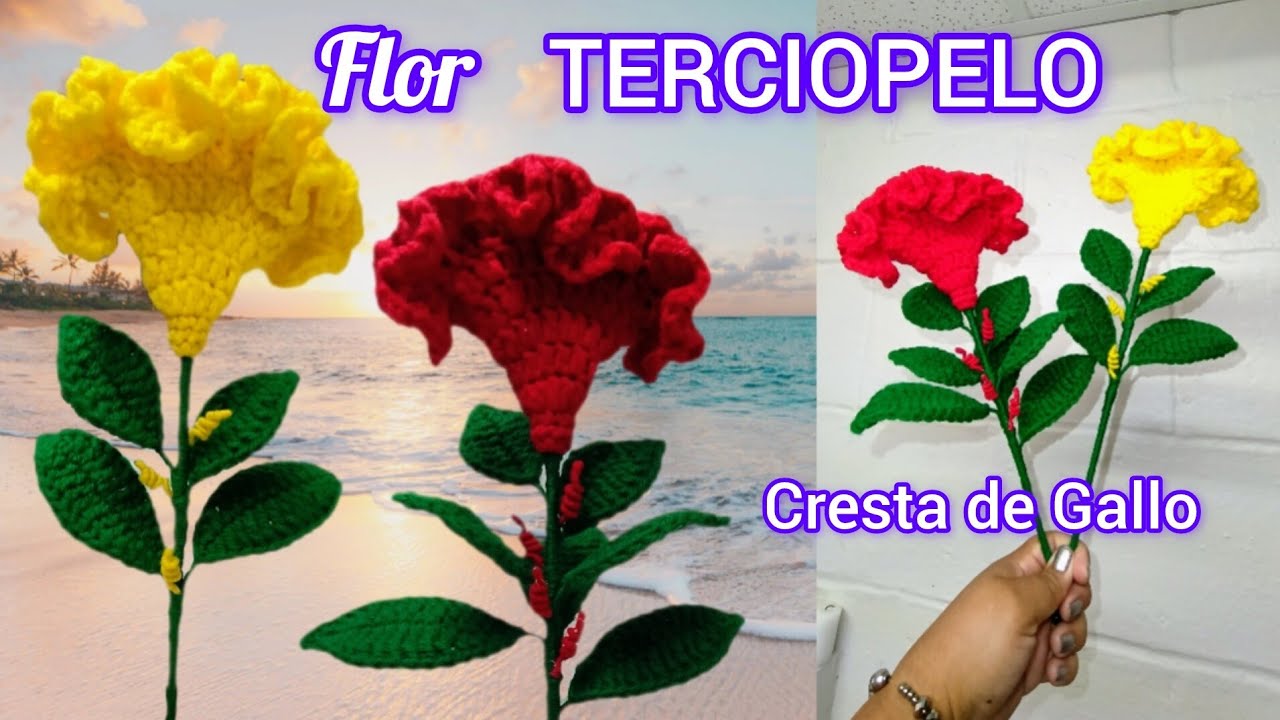 Cómo realizar la flor TERCIOPELO oh cresta de Gallo, a CROCHET 🧶