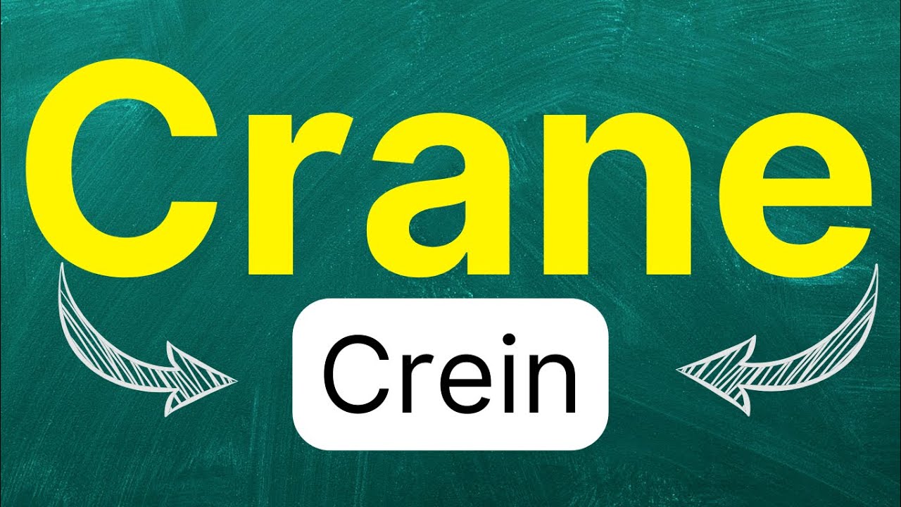 Cómo pronunciar: "Crane" "Grúa" "Ave zancuda" "Maquinaria de construcción" en inglés Americano
