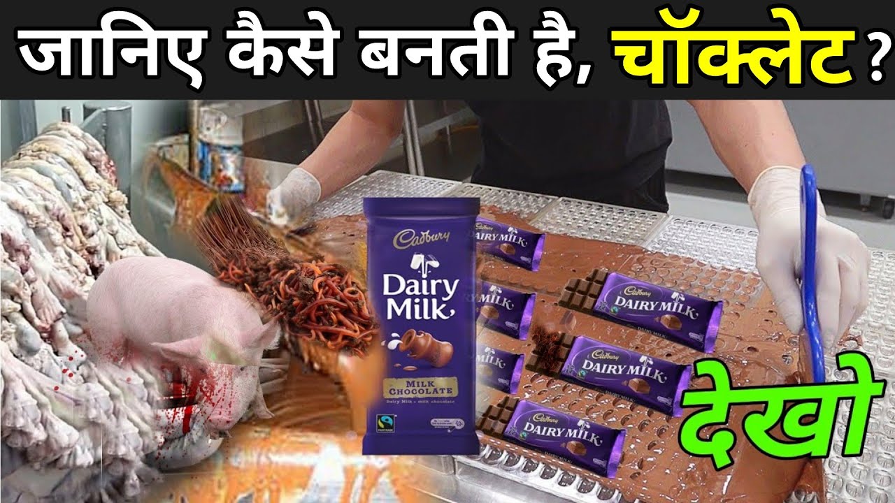 डेरी मिल्क चॉक्लेट ऐसे बनती है ? How Chocolate Is Made In Factories