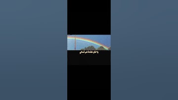 قَالَ رَبِّ اشْرَحْ لِي صَدْرِي||تلاوة مريحة بصوت القارئ شريف مصطفى💗🌿