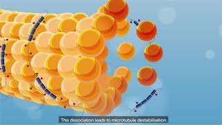 What is progressive supranuclear palsy (PSP)?