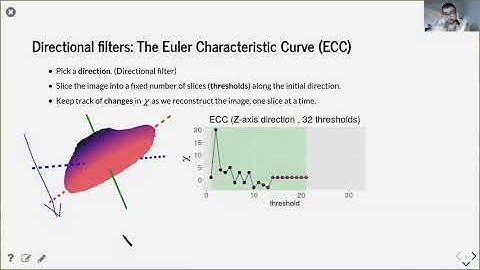 Describing `demeter`: using the Euler characteristic to... - Erik Amezquita - General - GLBIO 2021