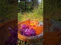 Charging The Chicken in The Wild🔥🍗| Crispy Roasted Chicken #viral #shorts #youtubeshorts #food #fyp