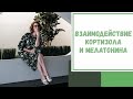 Лайфхак №66. Взаимодействие кортизола и мелатонина