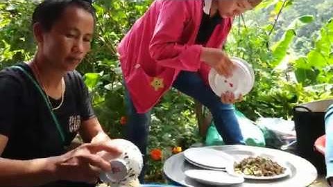 #YouTube| THỊT TRÂU SỐNG (CHẾ BIẾN MÓN LẠP THỊT TRÂU)| Đặc sản đồng bào dân tộc Thái Điện Biên