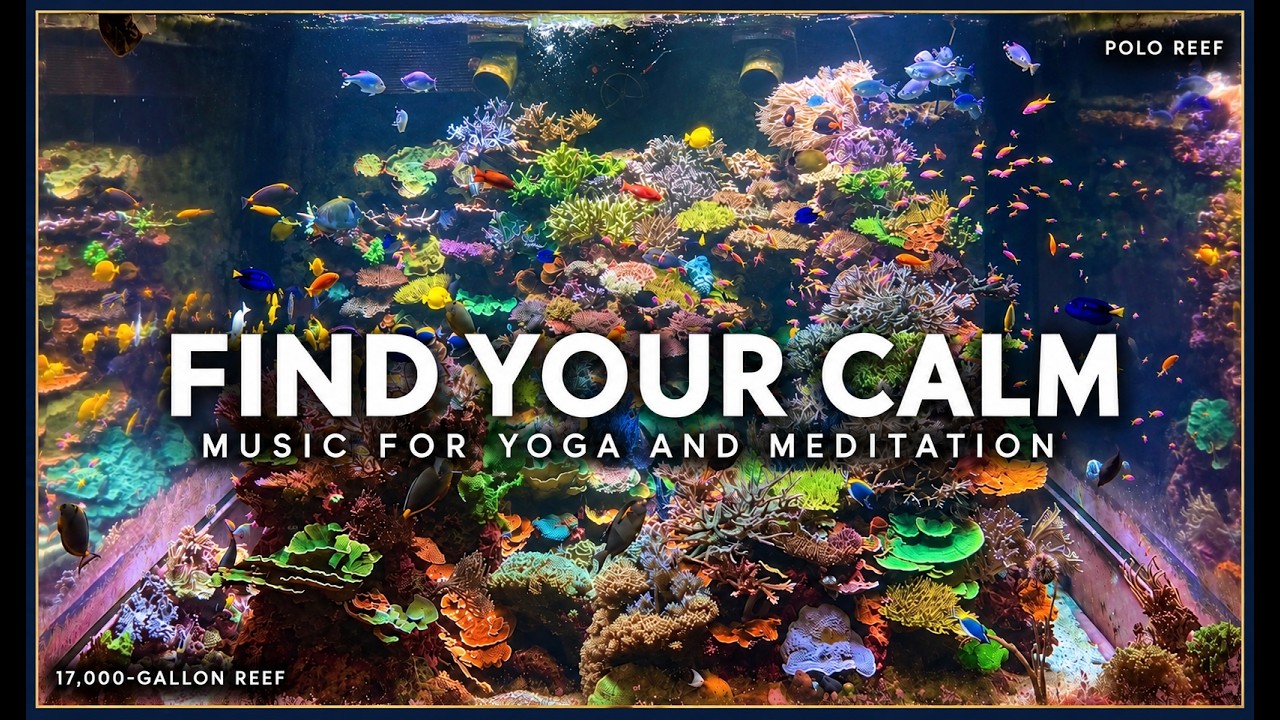 Relaxing Music for Yoga & Meditation | 17,000-Gallon Coral Reef Aquarium