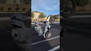 All white rtr has aura