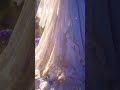 薇尔莉特婚纱装 薇尔莉特婚纱装