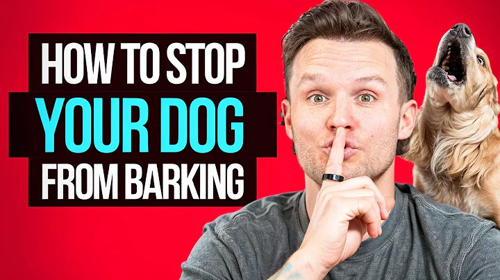 How to stop your dog from barking forever!