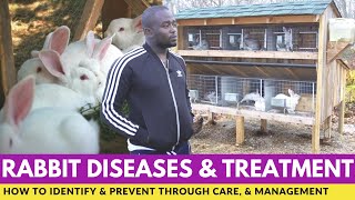 Rabbit Farming, How To Identify Rabbit Diseases, Prevention and Treatment screenshot 2