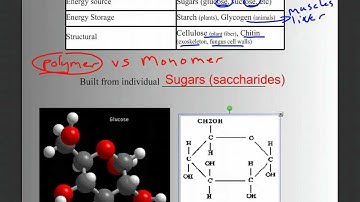 Biomolecules Part 1: Intro, Carbohydrates, and Lipids