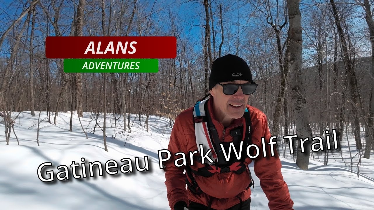 Gatineau Park Wolf Trail 2023 - YouTube