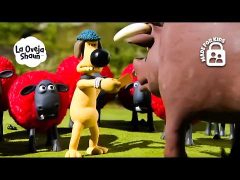 ¡BITZER INTENTA PROTEGER A LAS OVEJAS DEL TORO! 🐶🐑🐂 | La Oveja Shaun (Dibujos Animados Para Niños)
