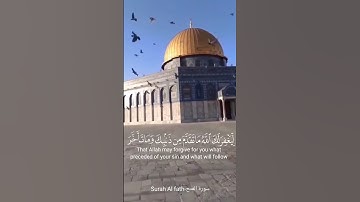 سورة الفتح بصوت سعد الغامدي| راحة نفسية| القرآن الكريم