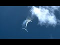 USAF F-22 Raptor Full Display | Miami Air Show 2026 | 4K 120FPS