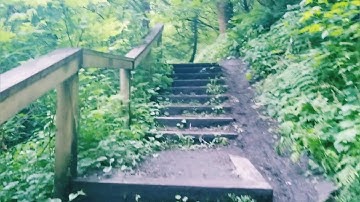 Canadian American borders forest  ما تيسر من سورة ابراهيم  للقارئ# ياسين دهن حفظه الله