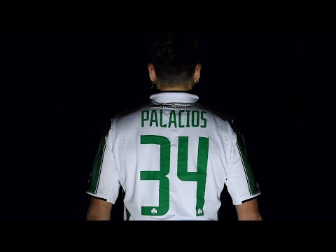 Sebastián Palacios is Green / PAO TV