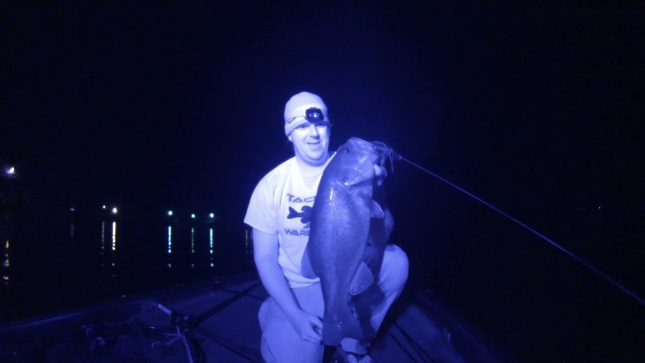 Best Baits And Colors For Night Fishing: Infrared Video!!