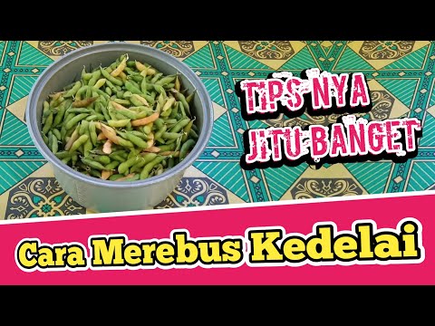 Cek video tips dan tutorial lainnya ya bunda... Cara Merebus kacang hijau hanya 5 menit https://yout. 