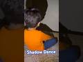 #shadowdancing #funny #freetime #shadowfun.                 Shadow Dance Video