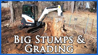 Pulling Big Stumps & Grading a Pad