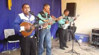 Musica Mirandina- José Castillo En Vivo