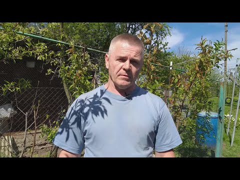 Видео: Удобрение для персикового дерева - Как удобрять персиковые деревья
