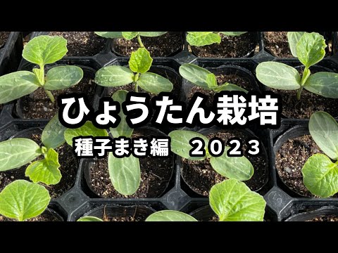 ひょうたん栽培】種子まき編 2023① - YouTube