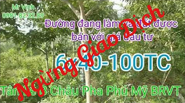 Bán đất Xã Châu Pha giá rẻ 6x40-100TC Tân Lễ B Xã Châu Pha Phú Mỹ BRVT @NguyenTheVinhbds