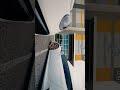 Rolling_Duo Matching Supercharged Lamborghini Huracan/Big Turbo Porsche 911