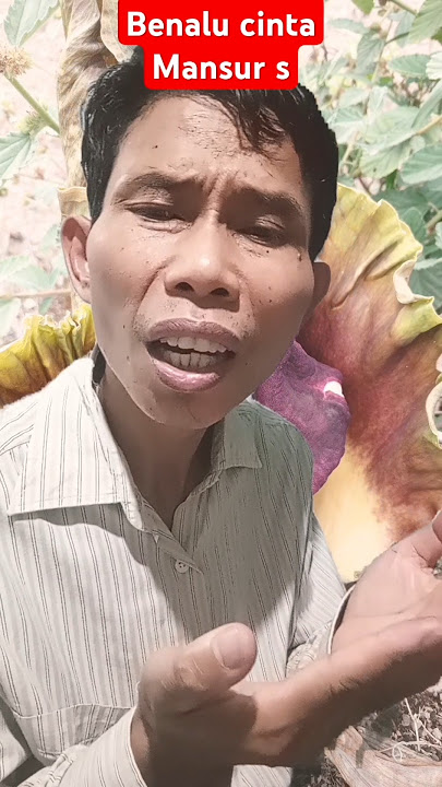 Benalu cinta. Mansyur s #dangdut #musik #shortvideo #shortsviral #cover #coversong