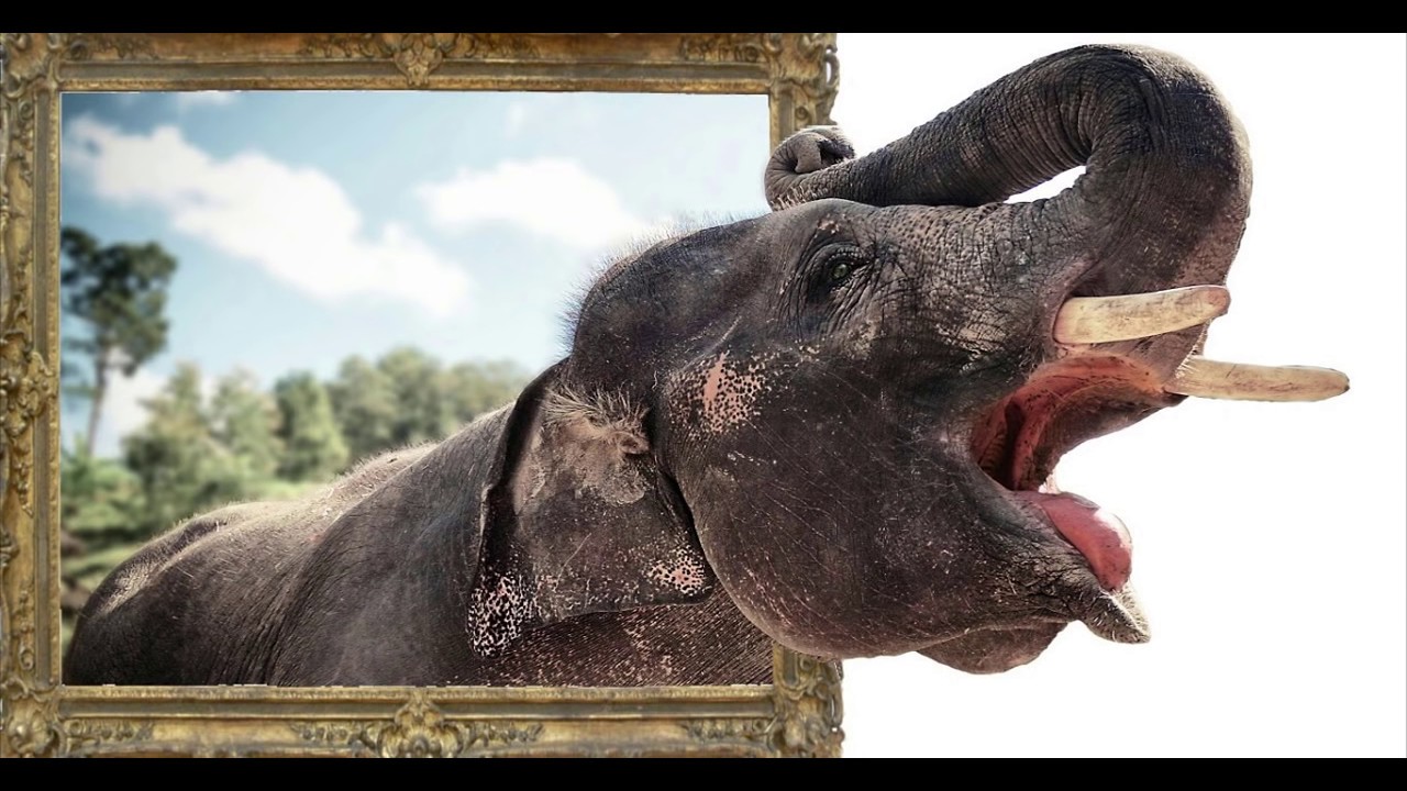 Heavy Editing like photoshop | Best CB Edit Tutorial | Picsart Photo Manipulation Tutorial