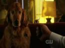Promise - Smallville