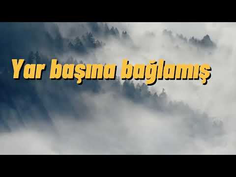 ADANA KÖPRÜ BAŞI Ton (RE)#cover #halkmüziği #music #turkey#karaoke  #enstrümantalmüzikler #musica