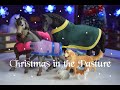 Christmas in the Pasture - Schleich Horse Short Film