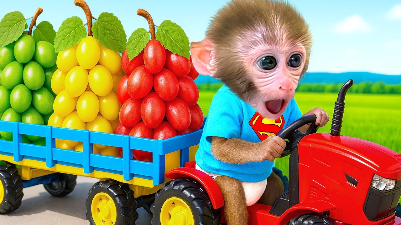 ลิงน้อยบอนบอนและความซุกซนของเขากับกระป๋องโค้กในสวนสาธารณะ