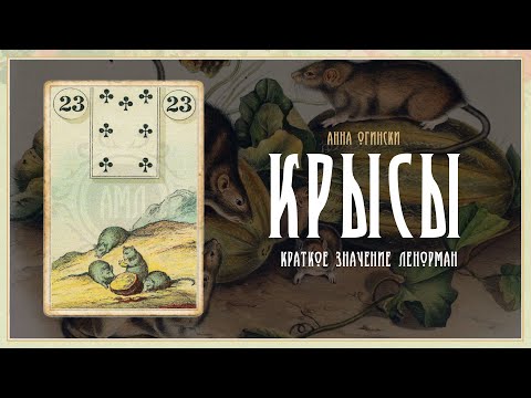 Значение Ленорман: Крысы (Мыши)