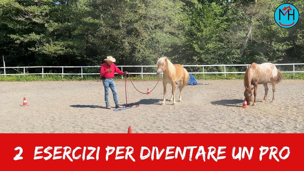 2 Semplici Esercizi per Diventare un PRO