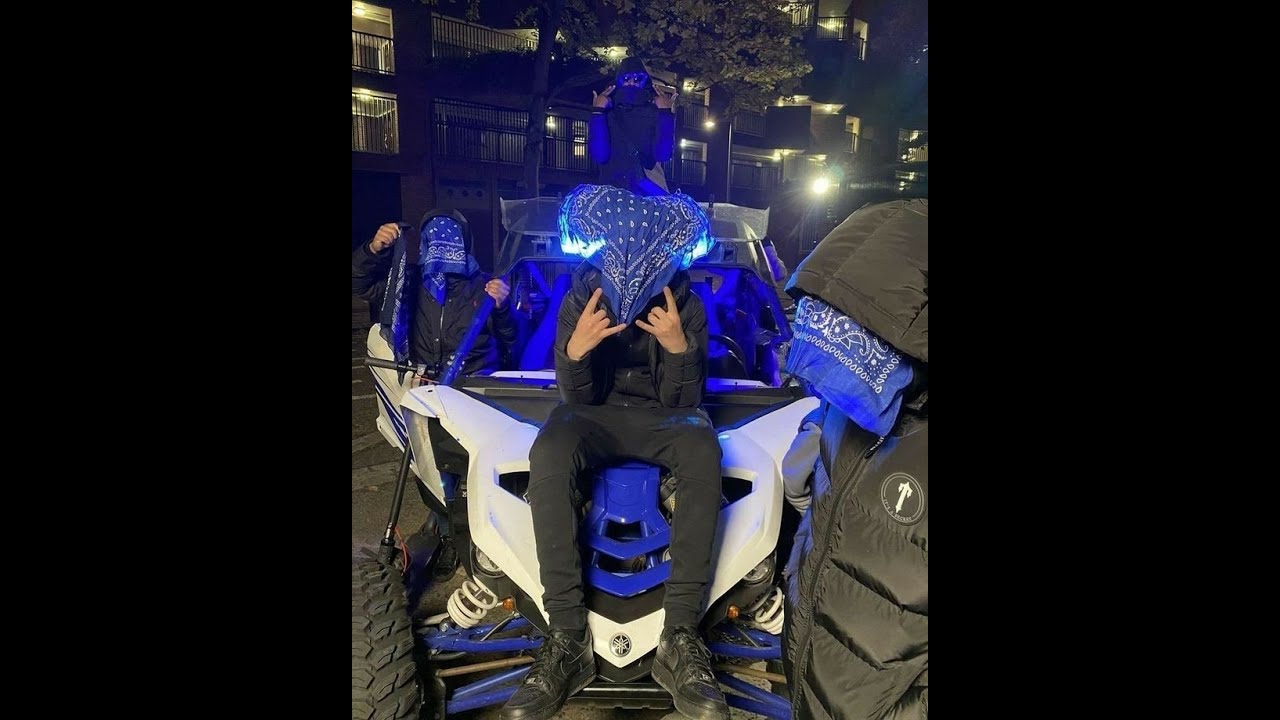 Grizzy Indtægt SPEED UP