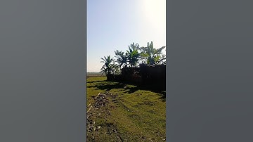 #سورة_الإخلاص #ikhlas #shortvideo #duet #madinekibaatein #egzonibrahimi #qurantilawat #nature