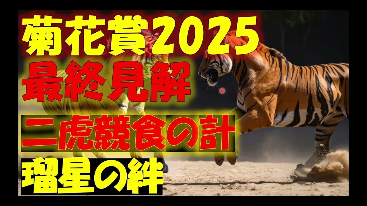 Chrysanthemum Appreciation 2025: Final Insights - YouTube