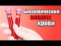 Биохимический анализ крови