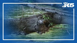 Historic floods in WA create hidden river hazards, officials warn
