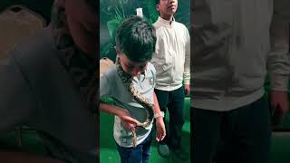 Brave Little Hero vs Snake 🐍🔥##FearlessKid #KidsAdventure #Wildlife #Cutekid#Amazing# #animalover