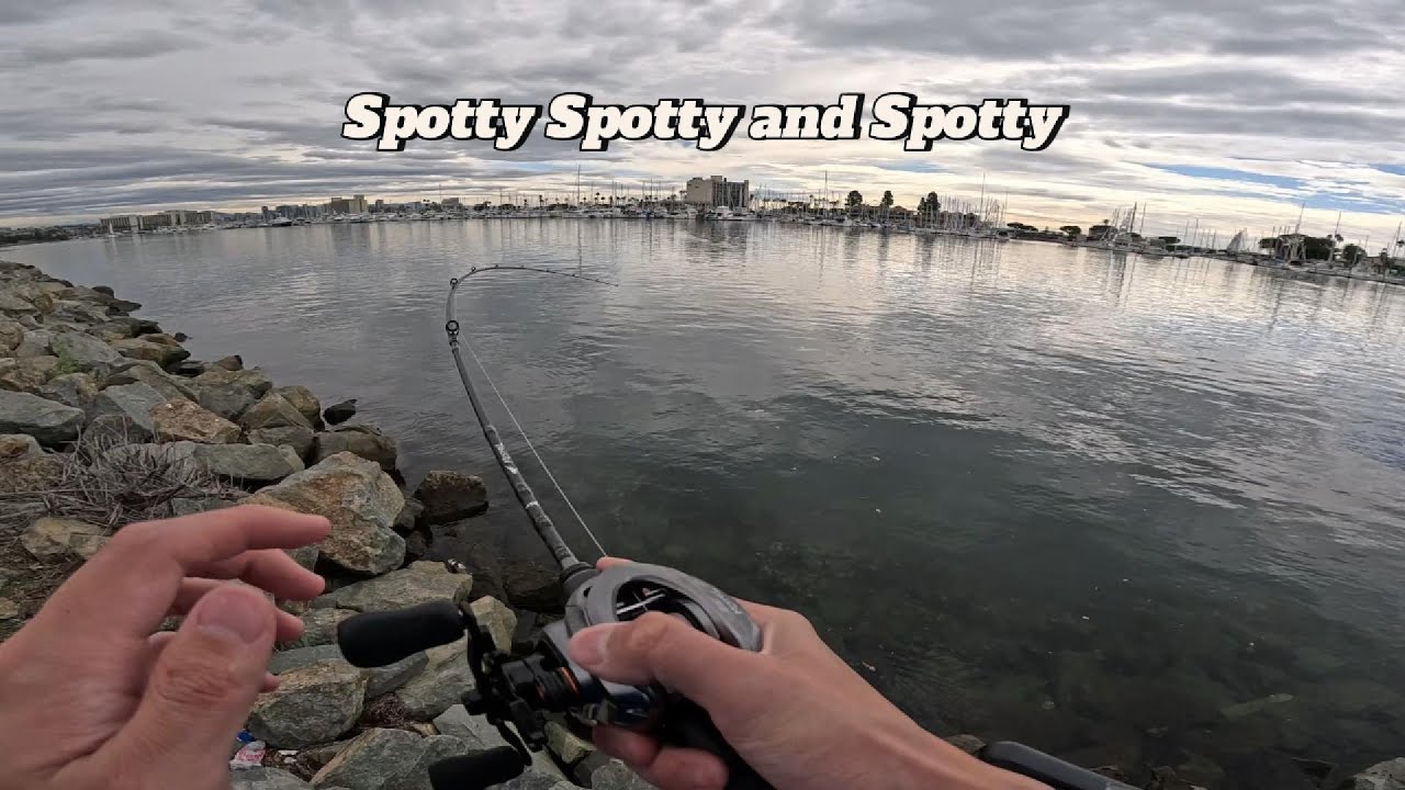 Рыбалка после шторма в заливе Сан-Диего на любую рыбу