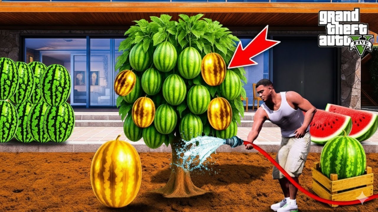 GTA 5: Franklin Grow Big Watermelons Outside Their House in Gta 5