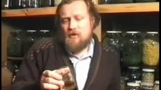 Мелисса трава мелисса лекарственная Мелисса трава мелисса лекарственная